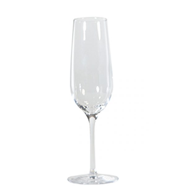 Sonoma Glasses Champagne Pack of 36 Celebrations! Party Rentals