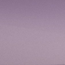 violet polyester