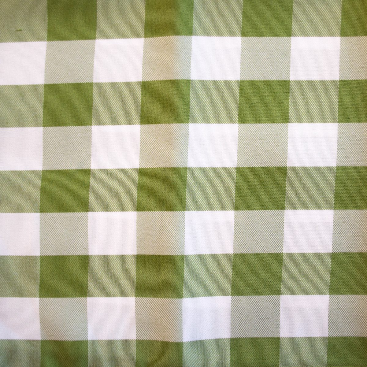 green and white check