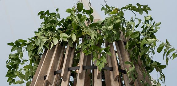 wood chandelier
